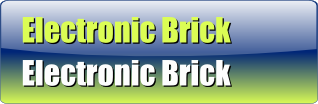 Electronic Brick