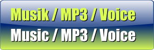 Music / MP3 / Voice